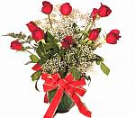      : dozen-roses-with-vase.jpg : 138 :	85.4  ID:	1116