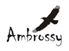   Ambrossy