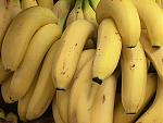      : bananas-1-DHD.jpg : 94 :	42.6  ID:	4972