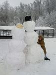      : snowman.jpg : 100 :	62.1  ID:	6865