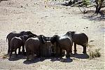      : 1386381-Desert_Elephants-Damaraland.jpg : 162 :	23.5  ID:	776
