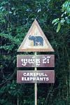      : elephants.jpg : 109 :	79.4  ID:	7982
